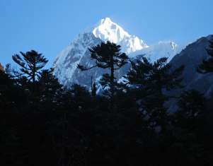 1918-93SnowwhitemountainSikkim.jpg